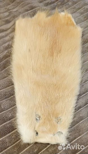 Шкурки нутрии