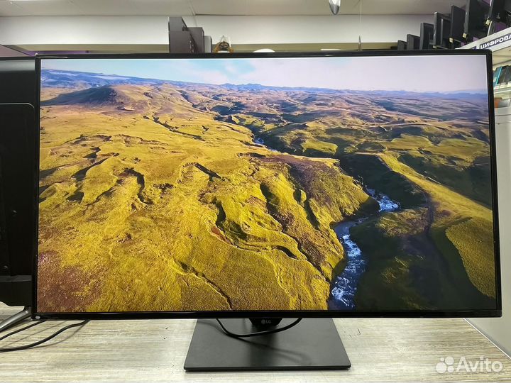 Монитор lg 43