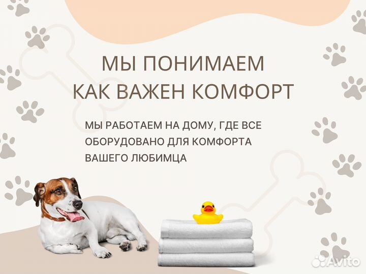 Груминг стрижка собак и кошек