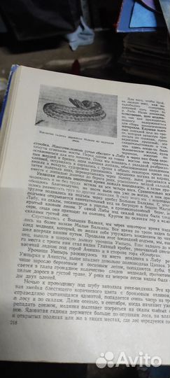 Очерки охотника натуралиста 1952 год Туров