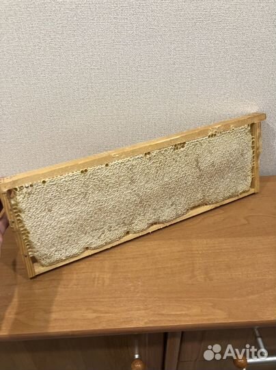 Мед цветочный разнотравье