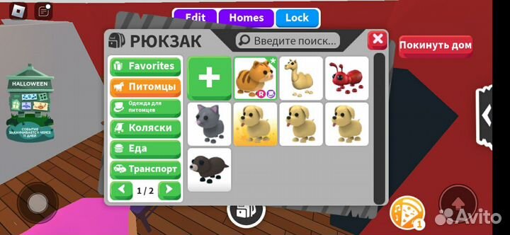 Райт кот