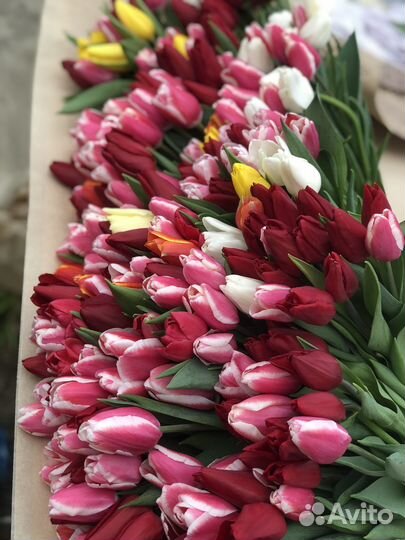 Букеты тюльпанов к 8 марта