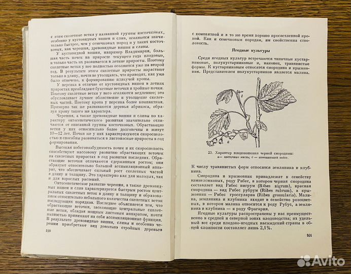 Г.Г. Фетисов Основы плодоводства 1959г