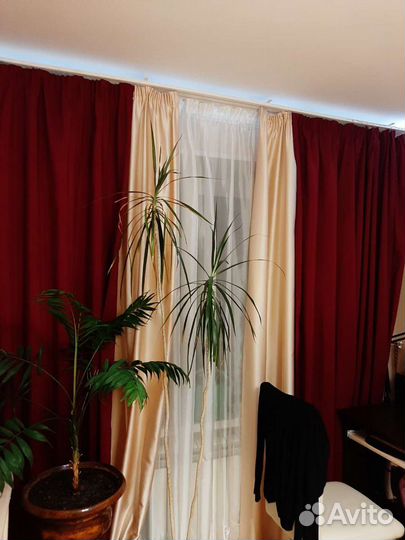 Шторы с ламбрикеном плюс 2 подхвата-кисти для штор