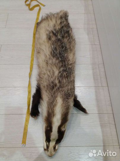Шкура барсука
