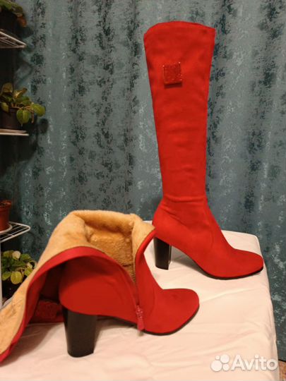 Сапоги женские