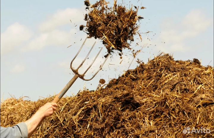 Перегной,навоз