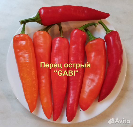 Перец для цицака «Gabi» 20 семян