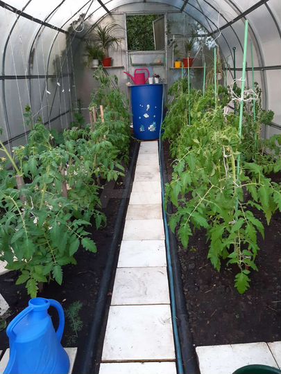 Дом 386,6 м² на участке 17 сот.