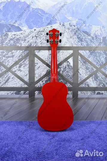 Укулеле - концерт (новая), комплект