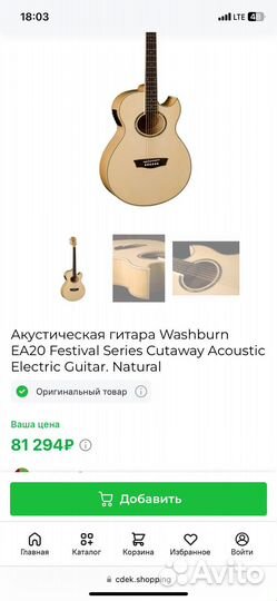 Акустическая гитара Washburn EA20