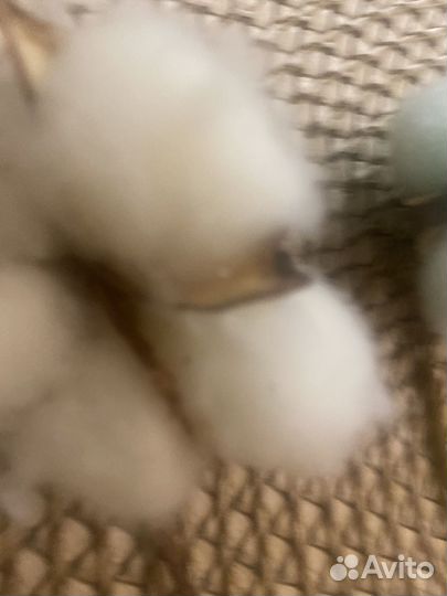 Хлопковые цветы 3 штуки