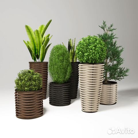 Лоза для плетения