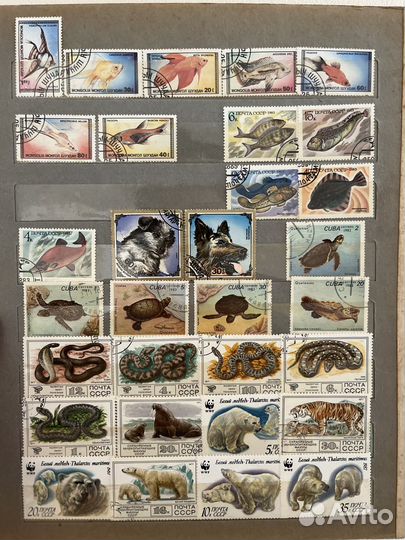 Почтовые марки СССР