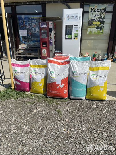 Корма Агравис
