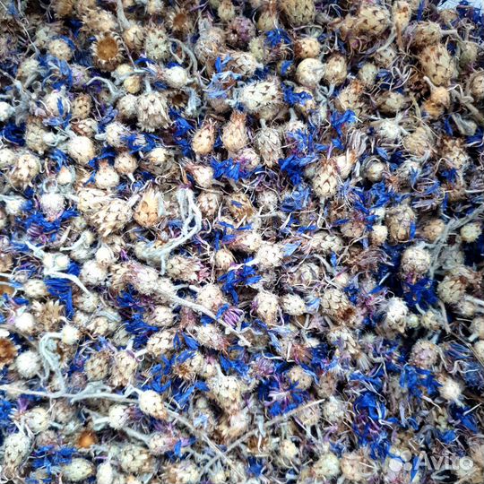 Цветы василька сушеные