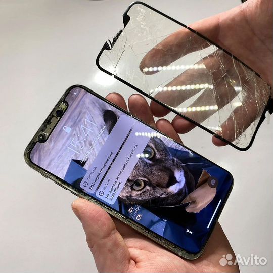 Замена стекла дисплея iPhone 8/X/XR/XS/11/12/13/14