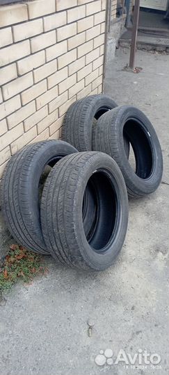 Maxxis Pragmatra MP10 205/55 R16 91V