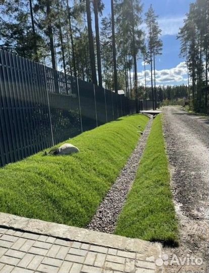 Дренаж участка