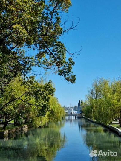 Организуем тур в Абхазию