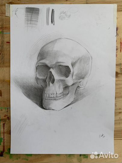 Академический рисунок и живопись подготовка