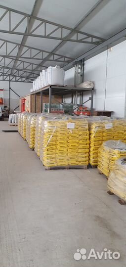 Семена рапса