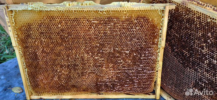 Сушь рамки для пчел