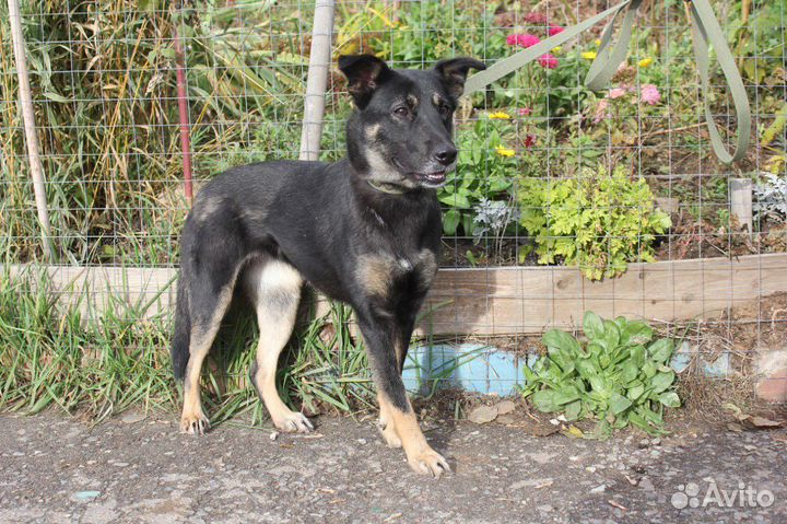 Рукка 1,5 года красивая и трогательная