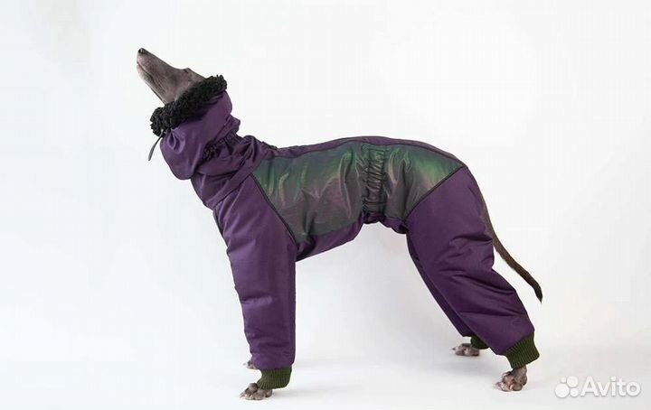 Комбинезон на левретку, зима