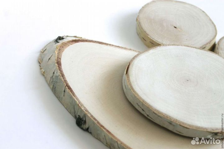 Спилы деревьев разных пород, в наличии и под заказ