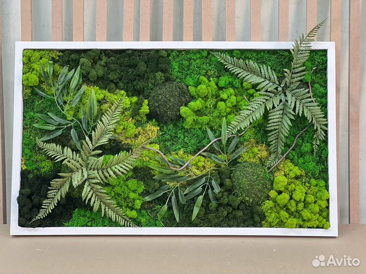 Панно, картина из мха, подарок, озеленение