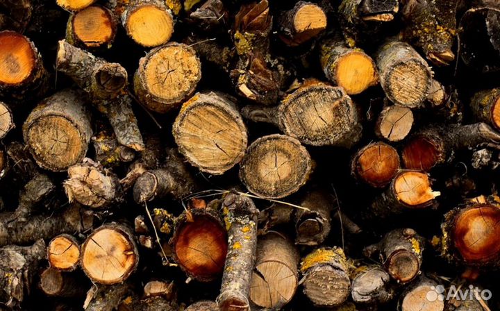Дрова со Всеволожска