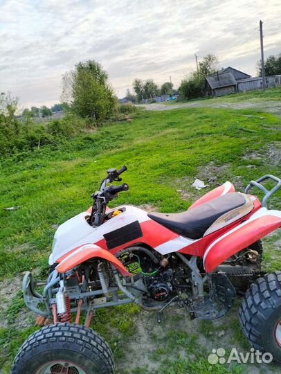 Irbis atv250s