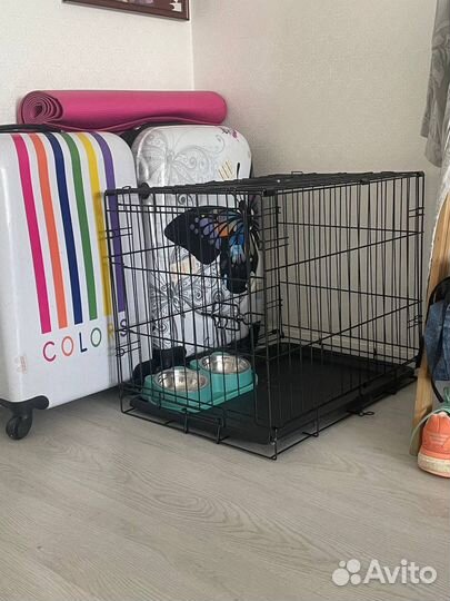 Вольер для щенков