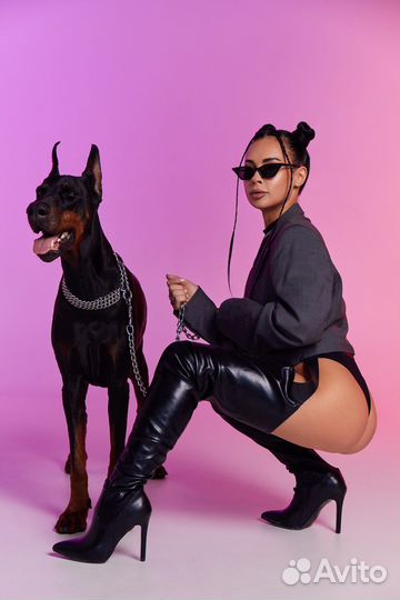 Фотосессия с Доберманом