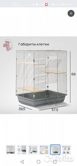 Декоративная крыса с клеткой