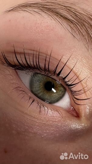 Срочно ищу моделей на Ламинирование ресниц