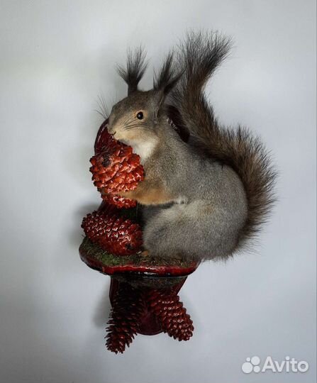 Чучела животных и птиц