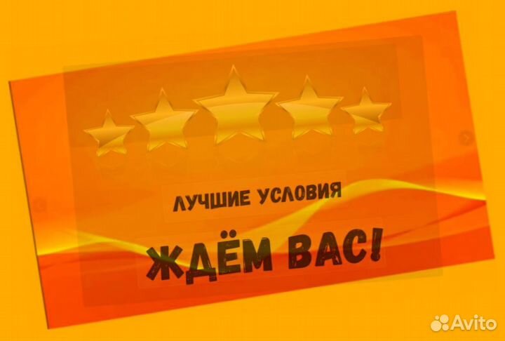 Наборщик заказов Без опыта Еженедельные выплаты