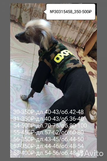 Одежда для собачек разная*MiX*