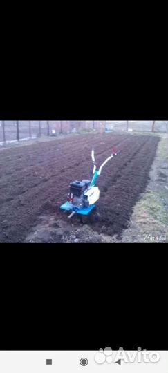 Сад, благоустройство