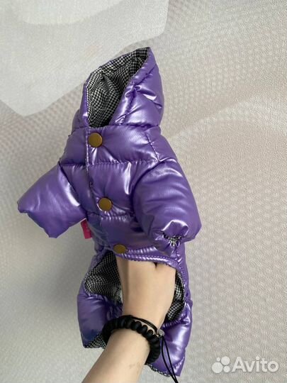 Комбинезон для собаки