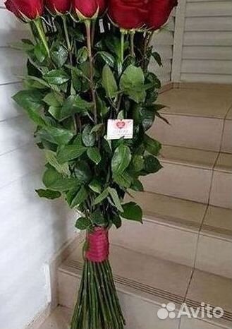Высокие розы Гигантские Розы 150 160 170 180 190см