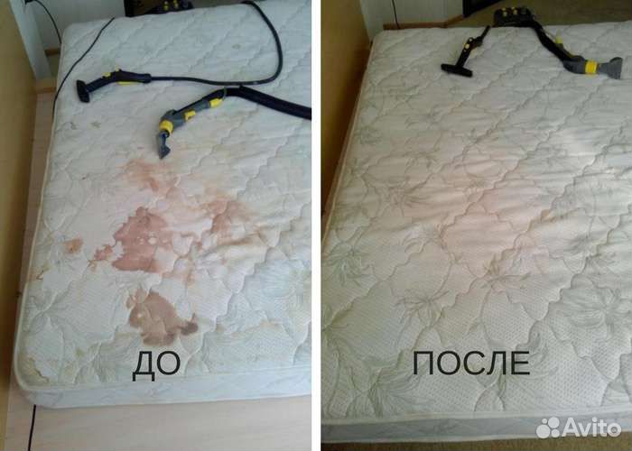 Аренда моющего пылесоса и пароочистителя