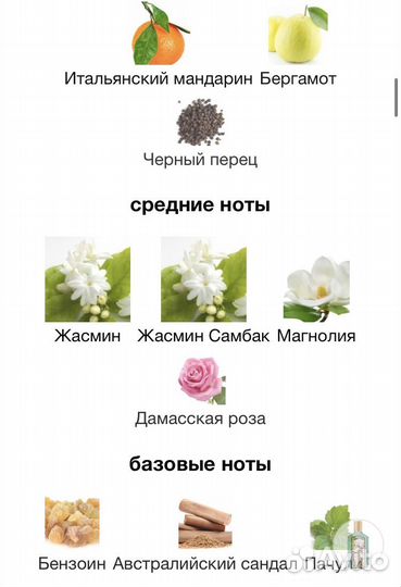 Gucci flora gorgeous jasmine духи 100 ml