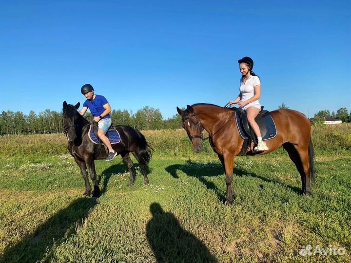 Катание на лошадях Нижний Новгород