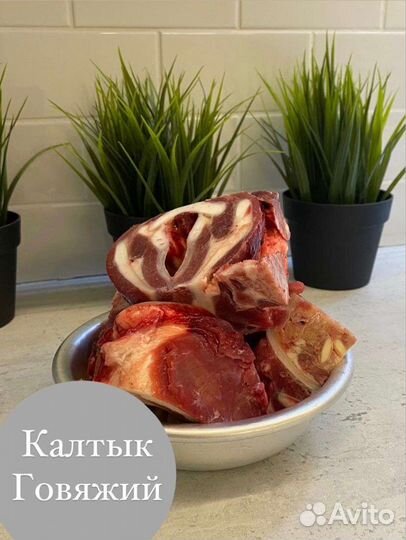 Мясо в корм для собак и кошек