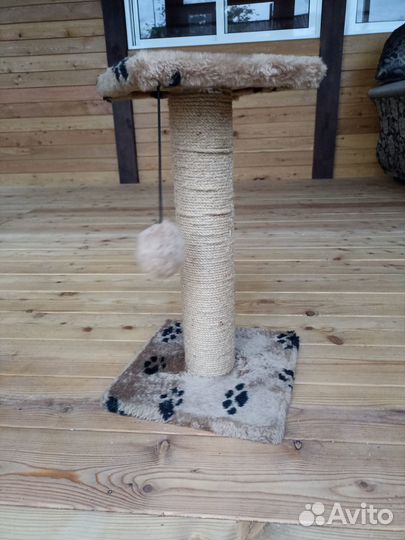 Когтеточка