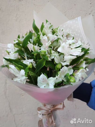 Букет из 9 белых альстромерий